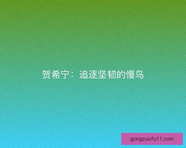 贺希宁:追逐坚韧的慢鸟 贺希宁:追逐坚韧的慢鸟
